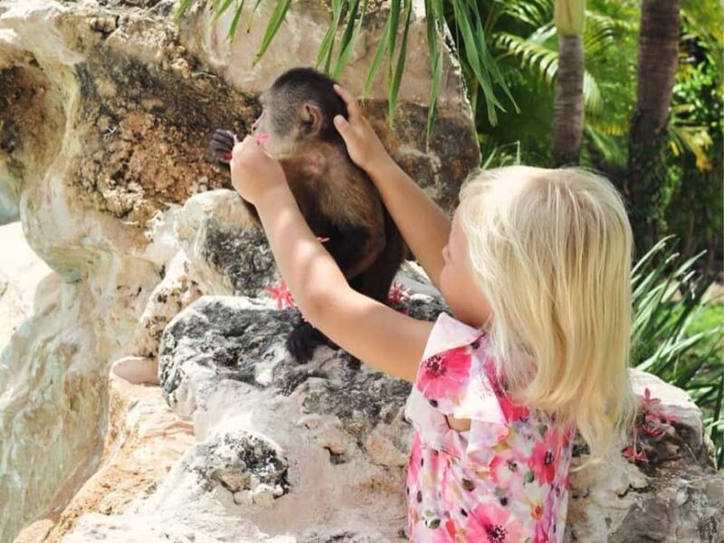 Punta Cana: Monkey Houses Private Tour - Frequently Asked Questions