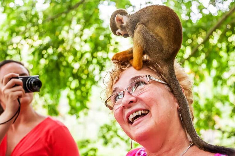 Punta Cana: Monkey Land Half-Day Safari and Plantation - Introduction