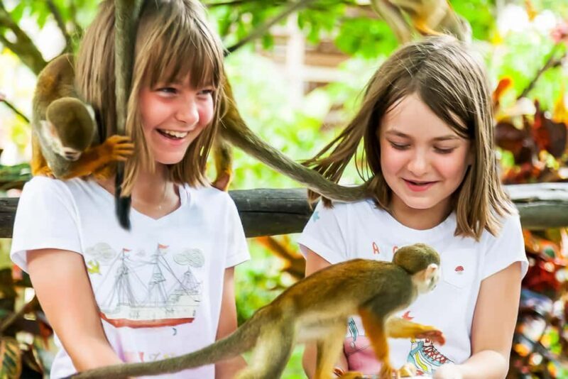 Punta Cana: Monkey Land Half-Day Safari and Plantation - Detailed Analysis of the Experience