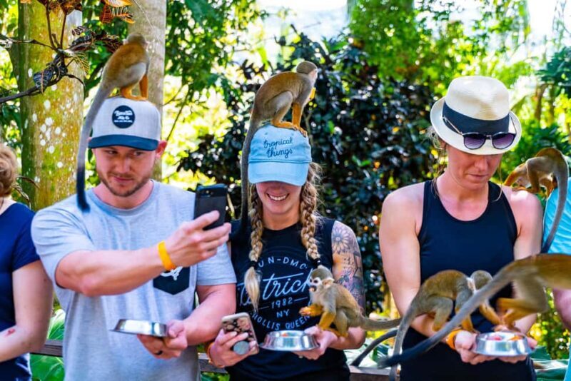 Punta Cana: Monkey Land Half-Day Safari and Plantation - FAQ