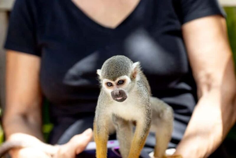 Punta Cana: Monkeyland Half-Day Tour with Snacks and Guide - FAQ