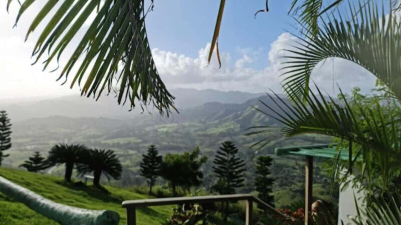 Punta Cana: Montaña Redonda Tour with Lunch & 4x4 Ride - Who Will Love This Tour?