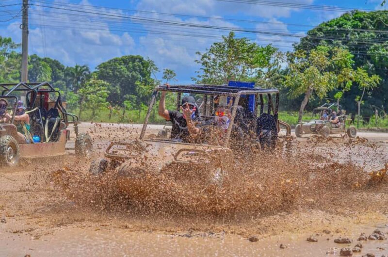 Punta Cana: Off-Road ATV Tour, Buggy Macao Beach. Free Pickup - Who Should Consider This Tour?