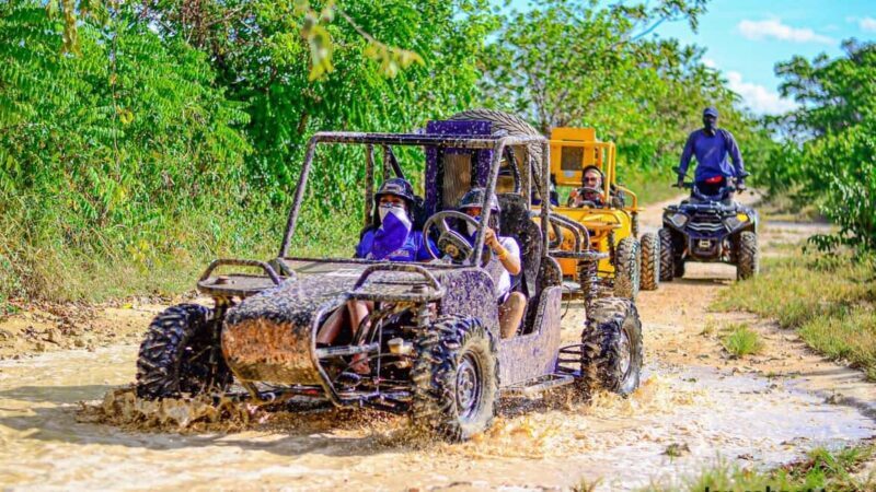 Punta Cana: Off-Road Buggy Tour with Cenote & Countryside - Who Should Consider This Tour?