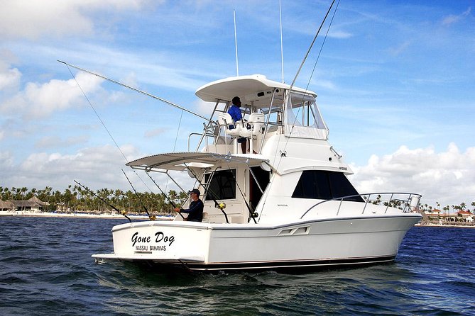 Punta Cana Offshore Deep Sea Fishing Charter - Fishing Equipment Provided