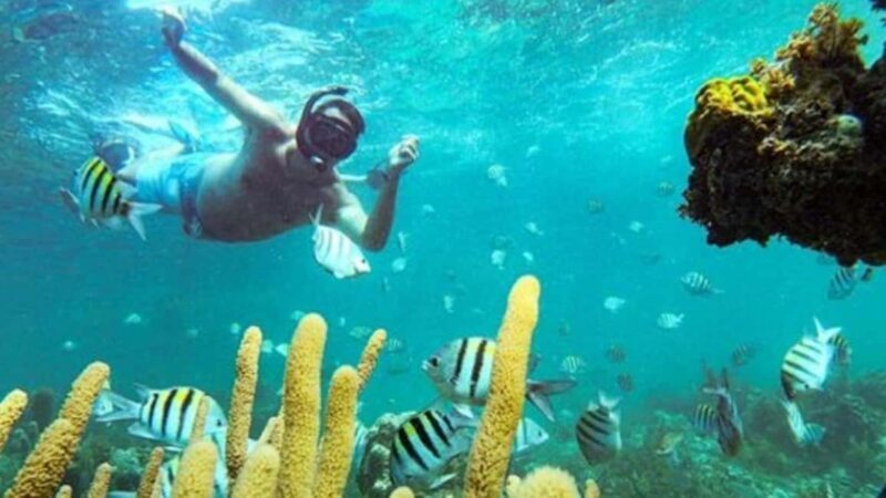 Punta Cana: Party Boat and Snorkeling Adventure - An In-Depth Look at the Experience