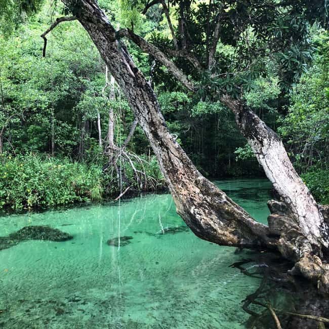 Punta Cana: Playa Rincon, Samana, & Cayo Levantado Day Trip - Good To Know