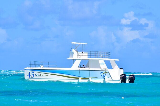 Punta Cana Private Boat Tour with Open Bar and BBQ - The Booking and Pricing