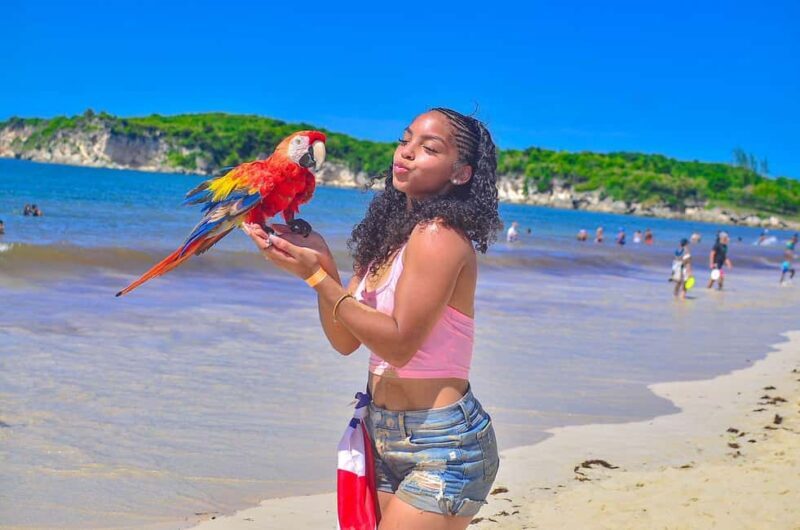 Punta Cana: Private Buggy Tour with Lunch and Cenote - Who Will Love This Tour?