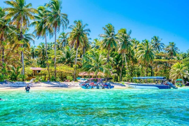 Punta Cana: Private Catalina Island Snorkeling Trip with - Inside the Itinerary: What Will You Experience?