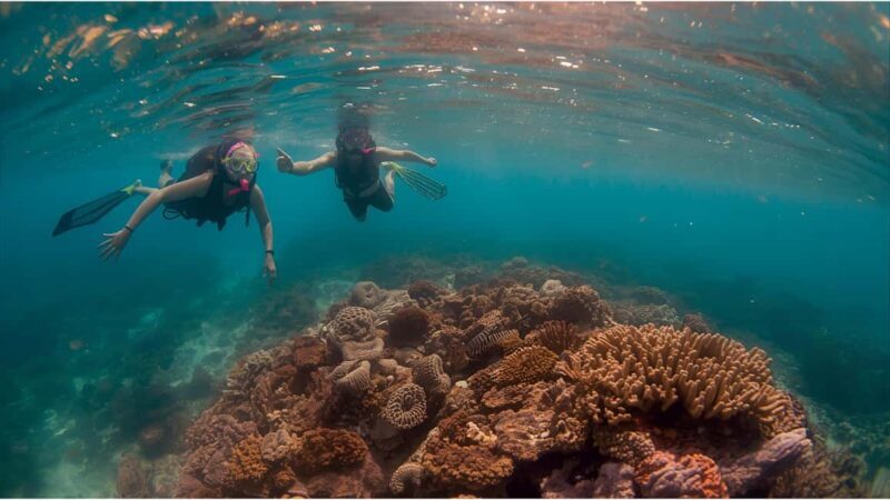 Punta Cana Private Catamaran Cruise: Snorkeling, Beach & BBQ - Good To Know