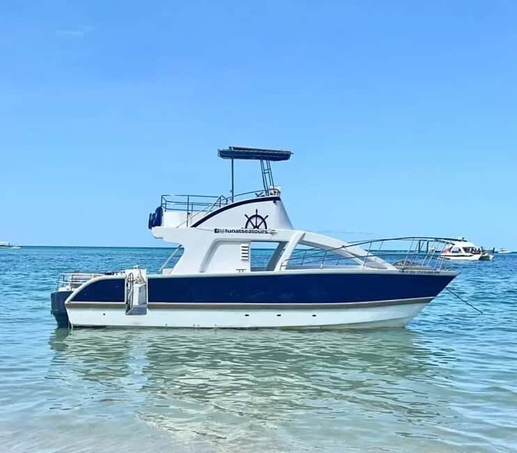 Punta Cana: Private Catamaran Cruise with Open Bar - The Experience Provider and Booking Details