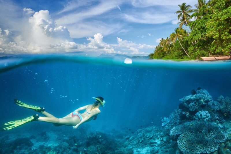 Punta Cana Private Catamaran (Small Group) - Pricing & What It Means for Value