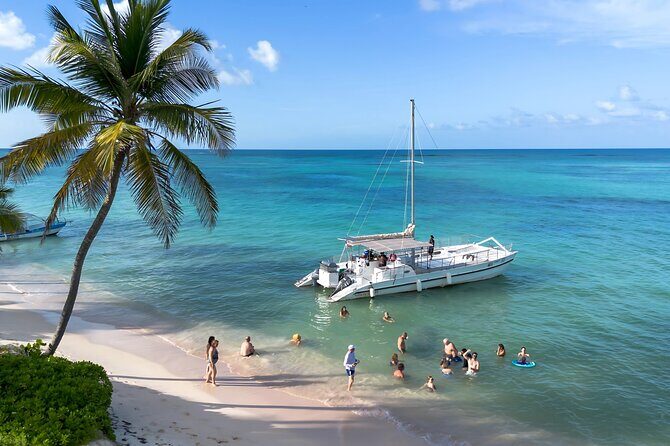 Punta Cana Private Catamaran with Snorkeling, Lunch & Open Bar - Fine Points and Practical Considerations  