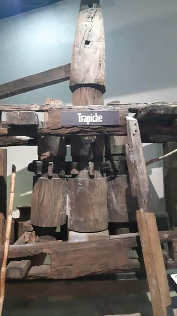 Punta Cana: Private Dominican Flavors Cultural Half-Day Trip - The Sum Up