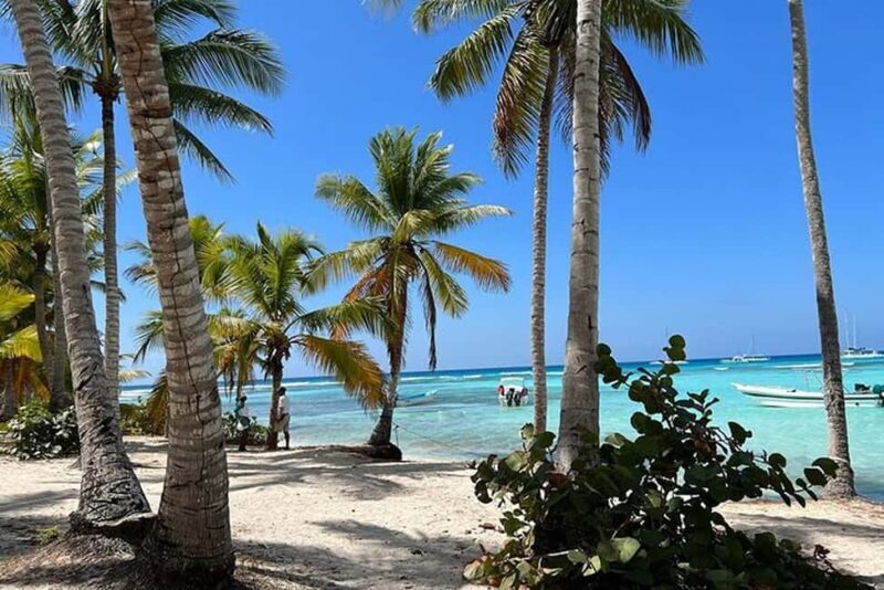 Punta Cana: Private Higüey Safari Tour w/ Lunch & Beach Time - Why This Tour Offers Great Value