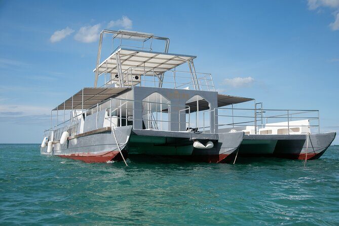 Punta Cana Private Mega Catamaran Tour with Snorkeling and Bar - Authentic Insights from Reviews