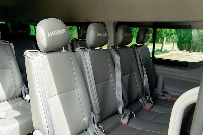 Punta Cana Private One-Way or Round-Trip Airport Transfers - Who Should Consider This Service?