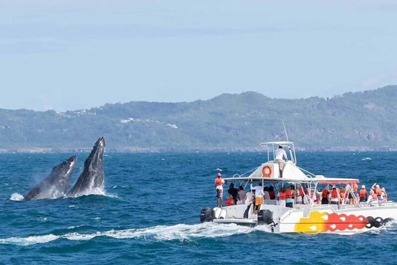 Punta Cana: Private Samaná Whale Watching Day Trip - Good To Know