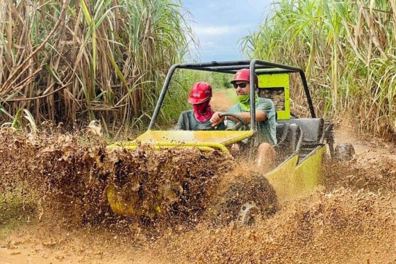 Punta Cana: Private SugarCane Fields Buggy or Quad Adventure - What to Expect from the Tour