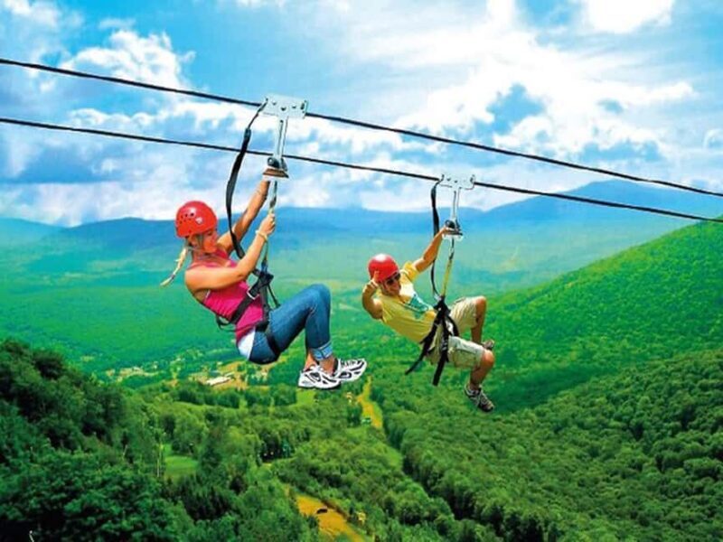 Punta Cana: Rainforest Zipline Adventure - Who Should Book This Tour?