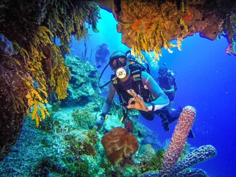 Punta Cana: Reef Diving Adventure Explore Underwater Wonders - What Makes This Reef Diving Tour Stand Out?