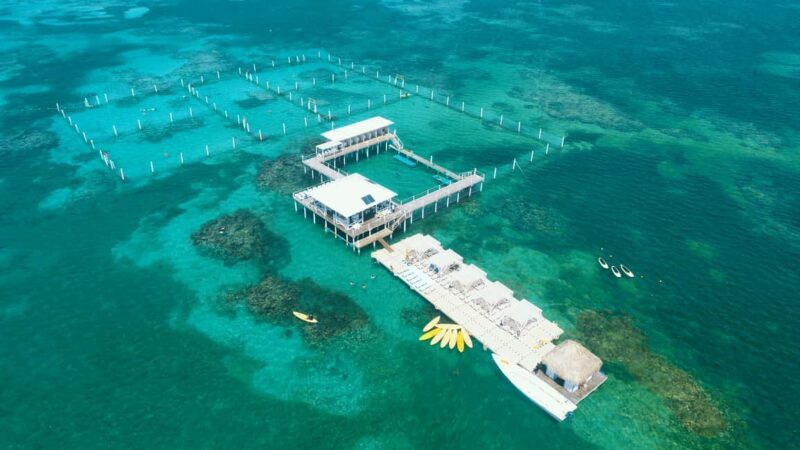 Punta Cana: Reef Explorer Access w/ Sharks & Stingrays Swim - What to Expect from the Reef Explorer Tour