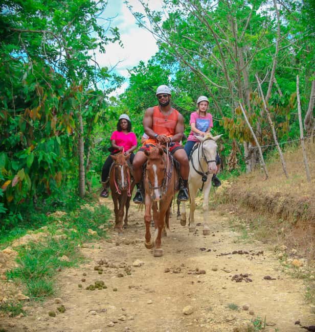 Punta Cana: Safari Zip-Line, Buggy and Horse Riding - Good To Know