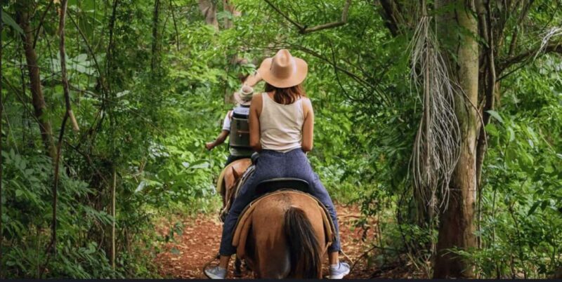 Punta Cana: Samaná Day Trip with El Limón Waterfall - Good To Know
