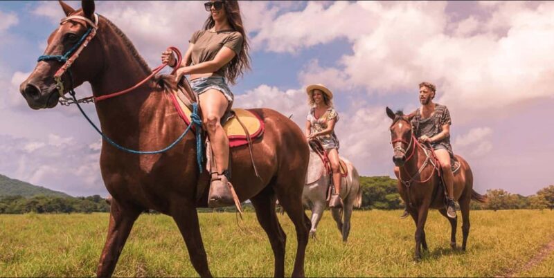 Punta Cana: Samaná Day Trip with El Limón Waterfall - Final Thoughts