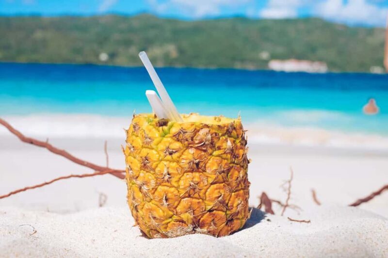 Punta Cana: Samana Full Day Trip Whale Cascada El Limon - Frequently Asked Questions