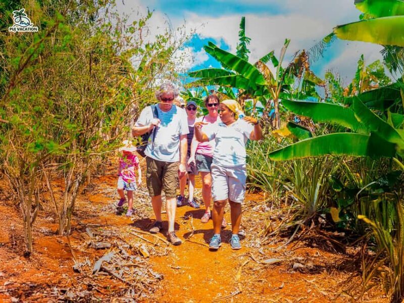 Punta Cana: Samana safari between waterfalls and beaches - Good To Know