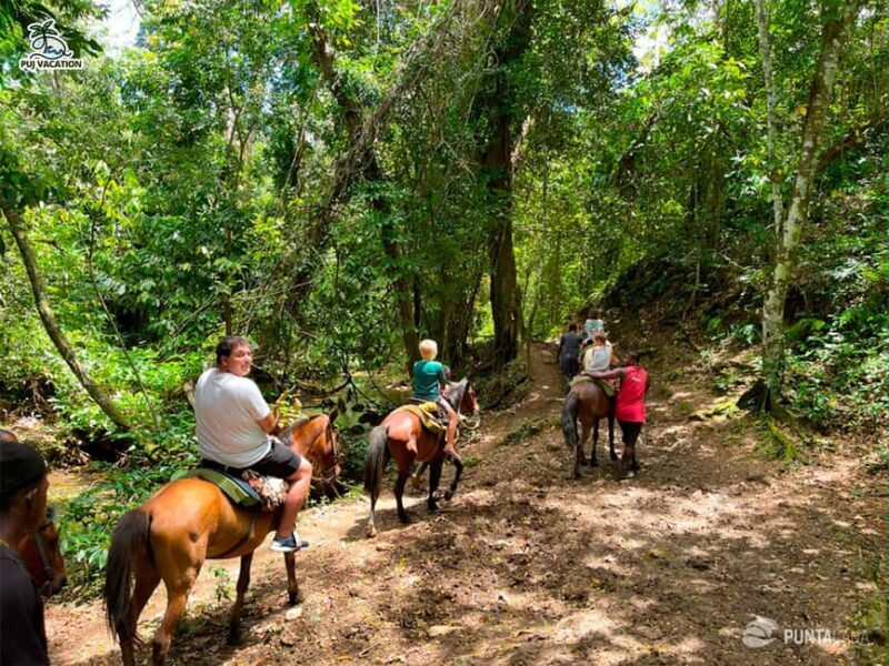 Punta Cana: Samana safari between waterfalls and beaches - An Authentic Day Exploring Samanás Natural and Cultural Gems