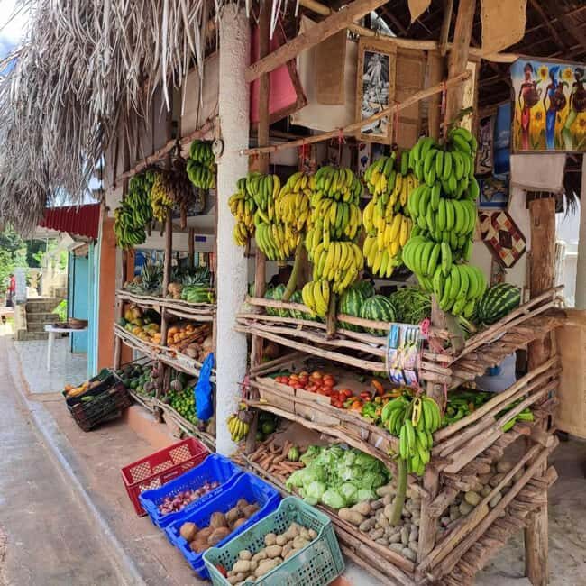 Punta Cana: Samana safari between waterfalls and beaches - Waterfalls and Adventure: El Limón