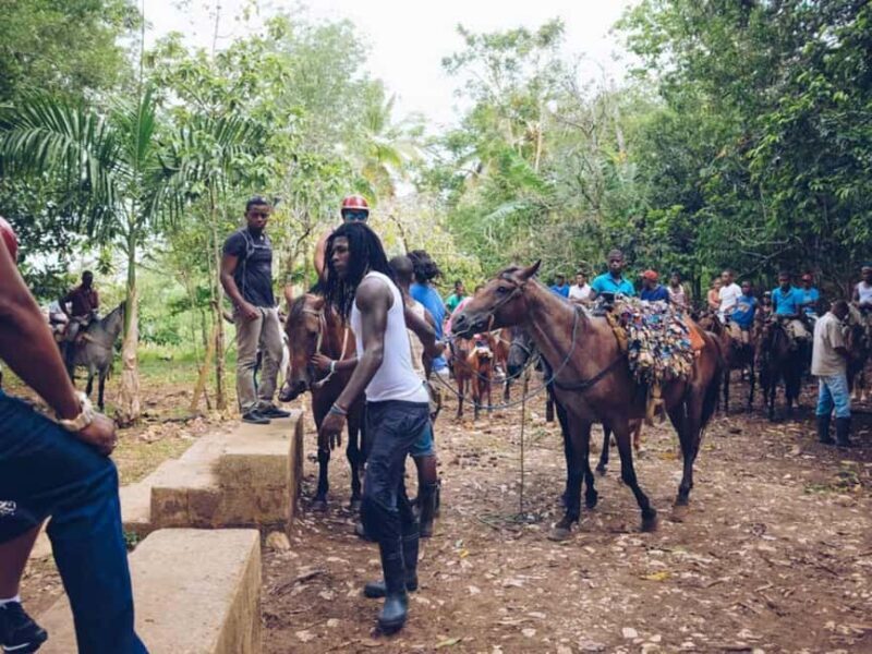 Punta Cana: Samaná Whale Watching and El Limón Day Tour - FAQ