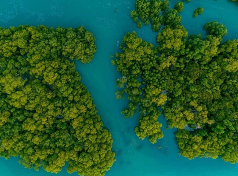 Punta Cana: Saona Island and Chavón River Combo with Guided Tours - Good To Know