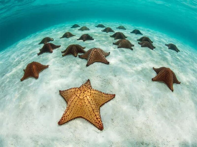 Punta Cana: Saona Island and Chavón River Combo with Guided Tours - FAQ