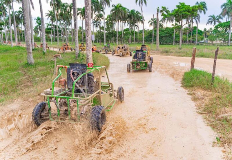 Punta Cana: Saona Island & Buggy Combo Adventure - Punta Cana: Saona Island & Buggy Combo Adventure — An Authentic Mix of Relaxation and Thrills