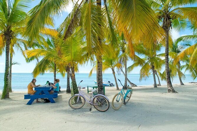 Punta Cana: Saona Island Catamaran Open Bar / Food Hotel Pickup - Good To Know  