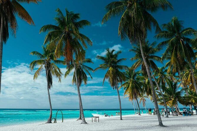 Punta Cana: Saona Island Catamaran Open Bar / Food Hotel Pickup - Who Will Love This Tour?