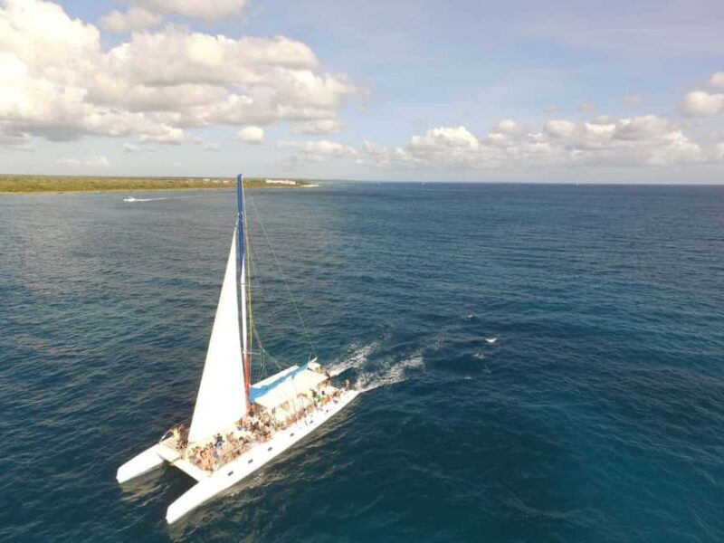Punta Cana: Saona Island Catamaran Tour & Buffet Lunch - What to Expect from the Saona Island Catamaran Tour