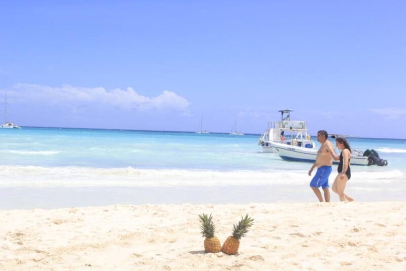 Punta Cana: Saona Island Catamaran Tour & Buffet Lunch - Who Will Love This Tour?