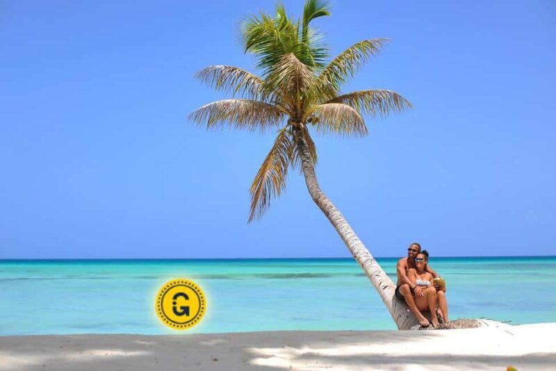 Punta Cana: Saona Island Day Tour and Catamaran Party - What Travelers Should Know