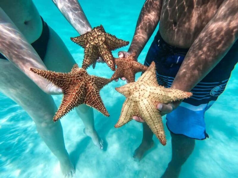 Punta Cana: Saona Island Day Tour and Catamaran Party - Final Thoughts