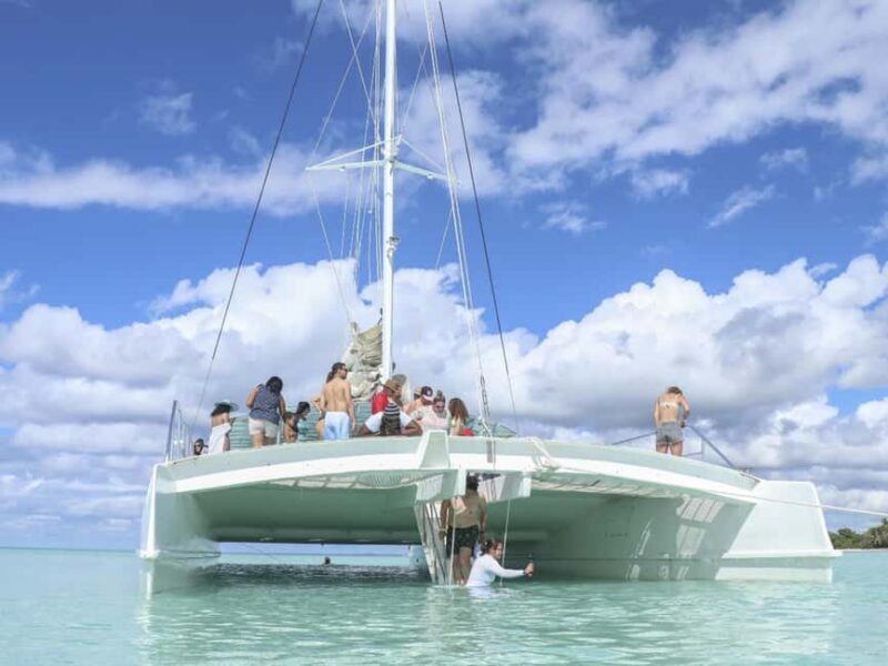 Punta Cana: Saona Island Day Trip with Blue Lagoon & Lunch - An In-Depth Look at the Tour Experience