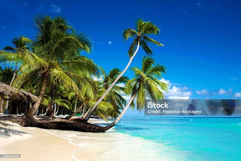 Punta Cana: Saona Island Day Trip with Catamaran Cruise - The Itinerary Breakdown: What to Expect on This Day Trip