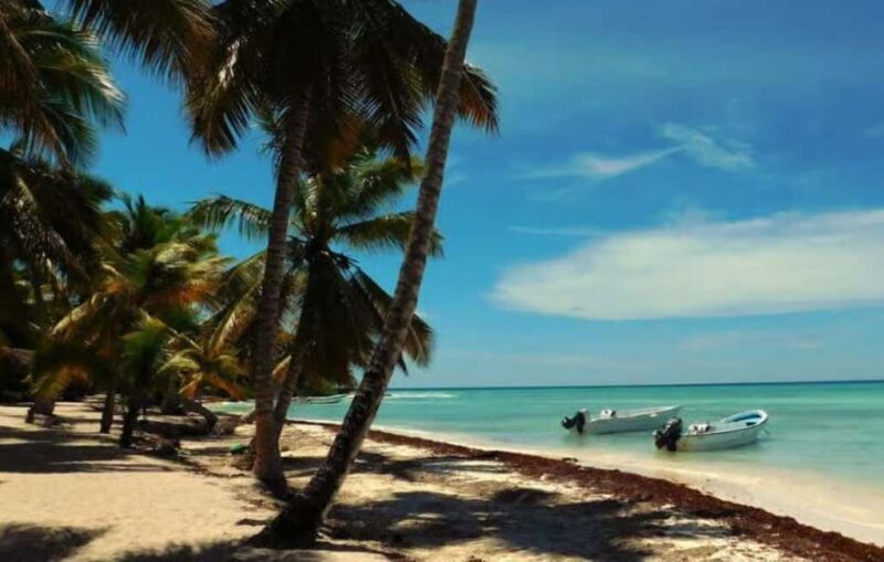 Punta Cana: Saona Island Day Trip with Lobster Lunch - Discover the Beauty of Saona Island: A Full-Day Punta Cana Adventure