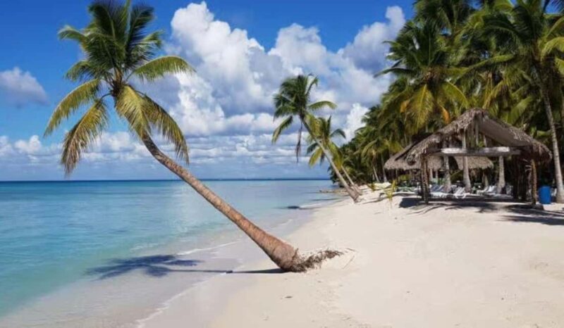Punta Cana: Saona Island Day Trip with Lobster Lunch - Good To Know