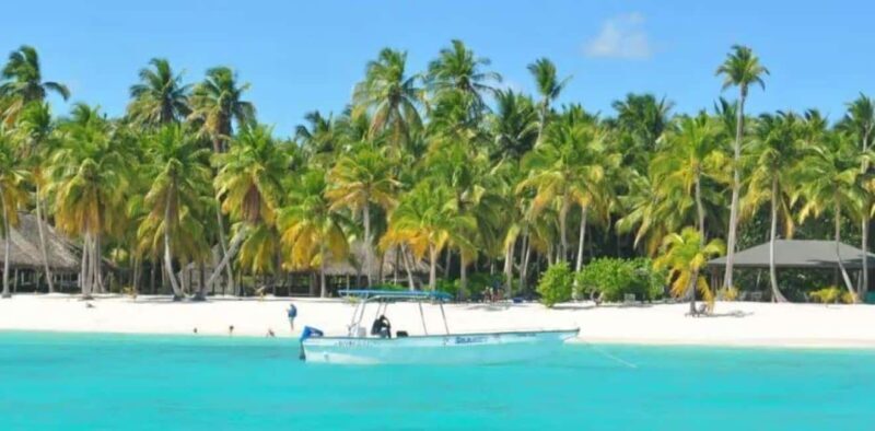 Punta Cana: Saona Island Day Trip with Lobster Lunch - Frequently Asked Questions
