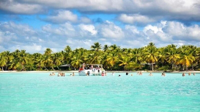 Punta Cana: Saona Island Day Trip with Lunch & Drinks - The Itinerary Breakdown: What to Expect